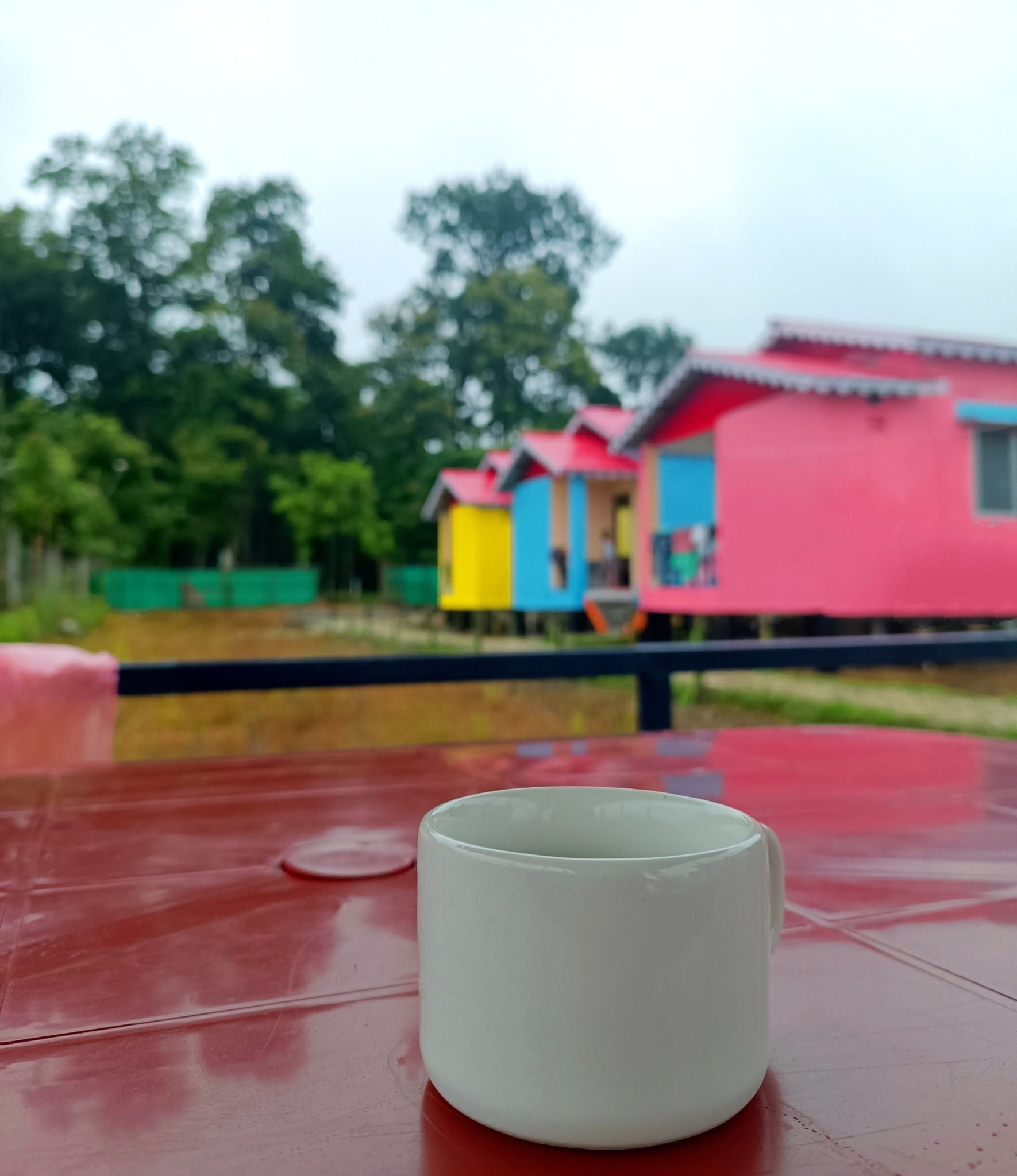 Our cottages and garden at Chilapata Eco Hut